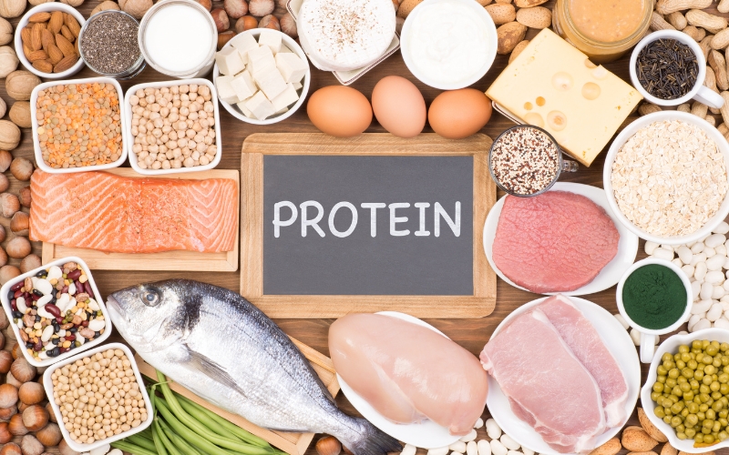 Những thực phẩm cung cấp protein