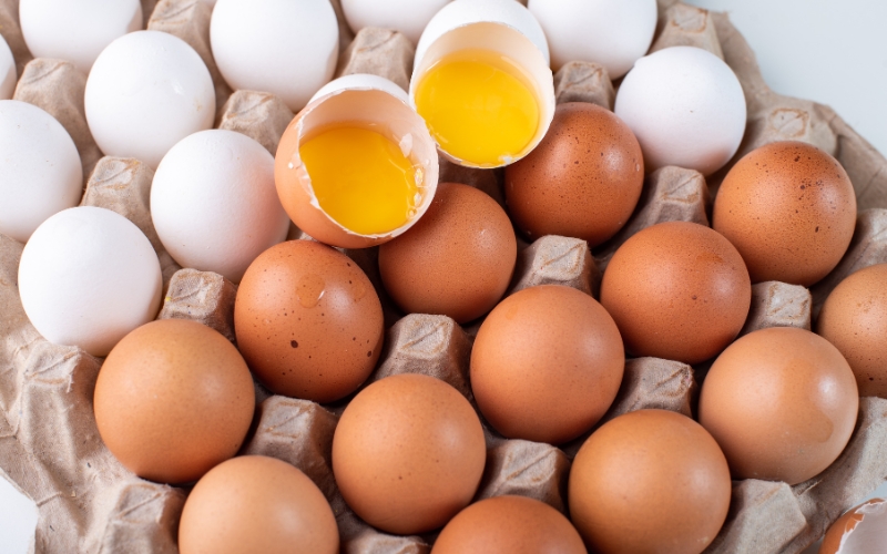 Trứng cung cấp đầy đủ chất dinh dưỡng dành cho trẻ