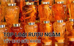 top loại rượu ngâm tốt cho sức khỏe