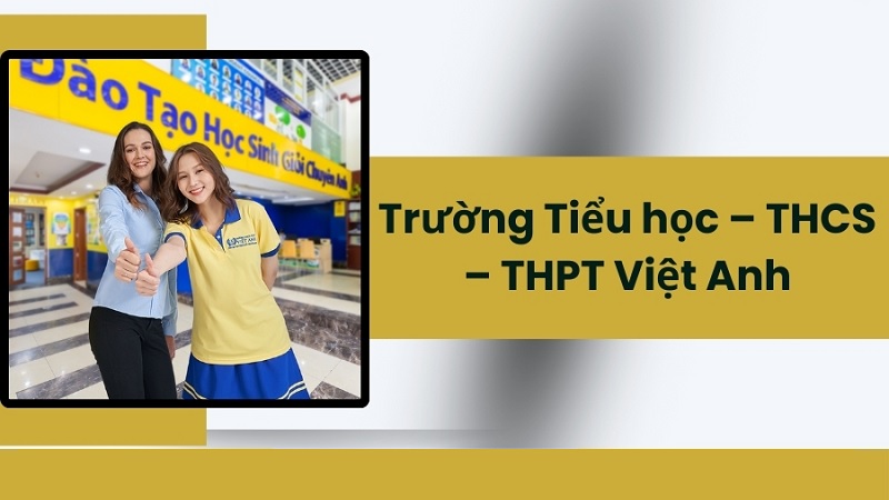 trường việt anh