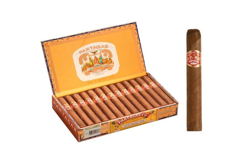Partagas Shorts